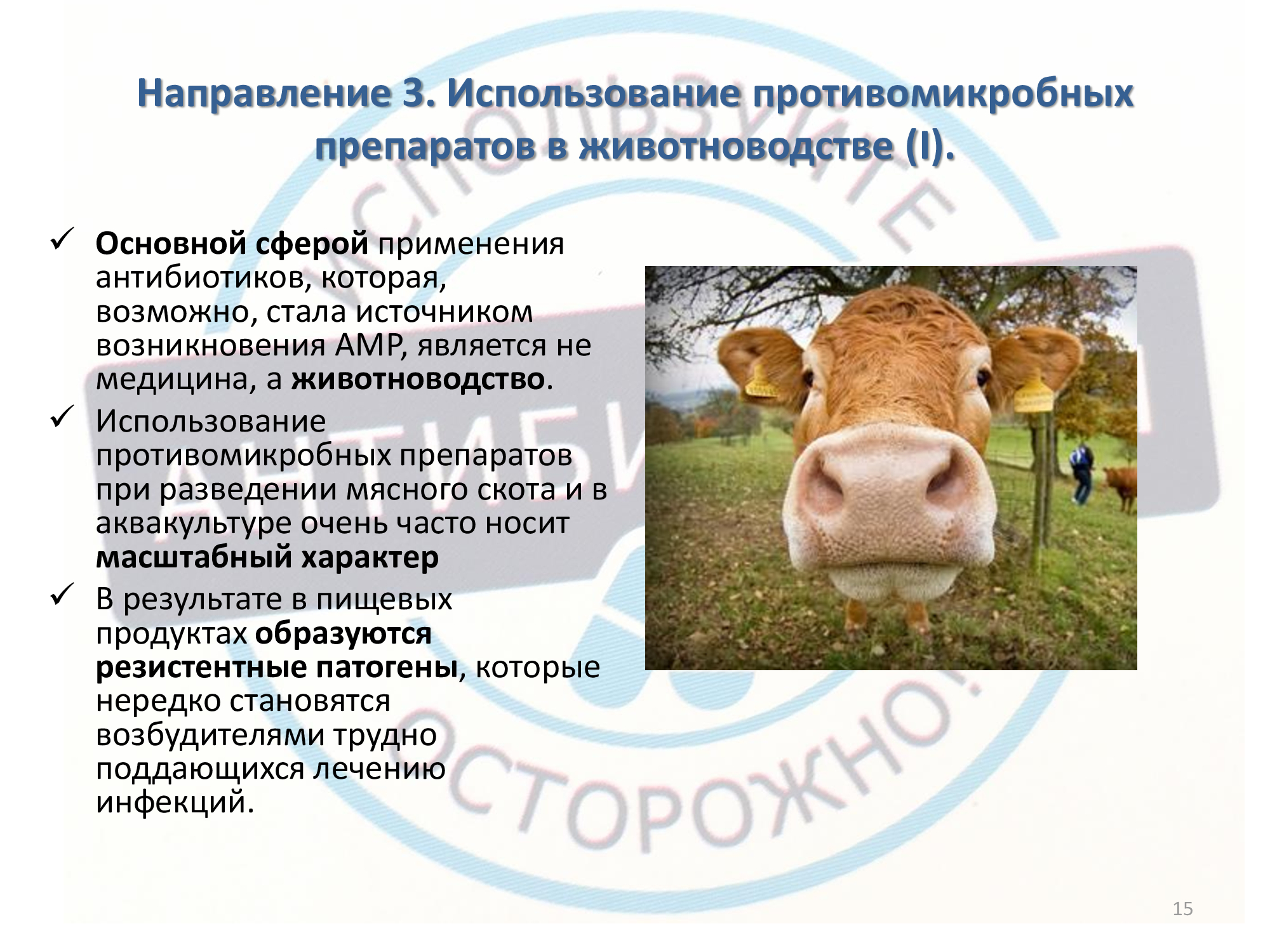 Инф_неделя_антибиотики-14