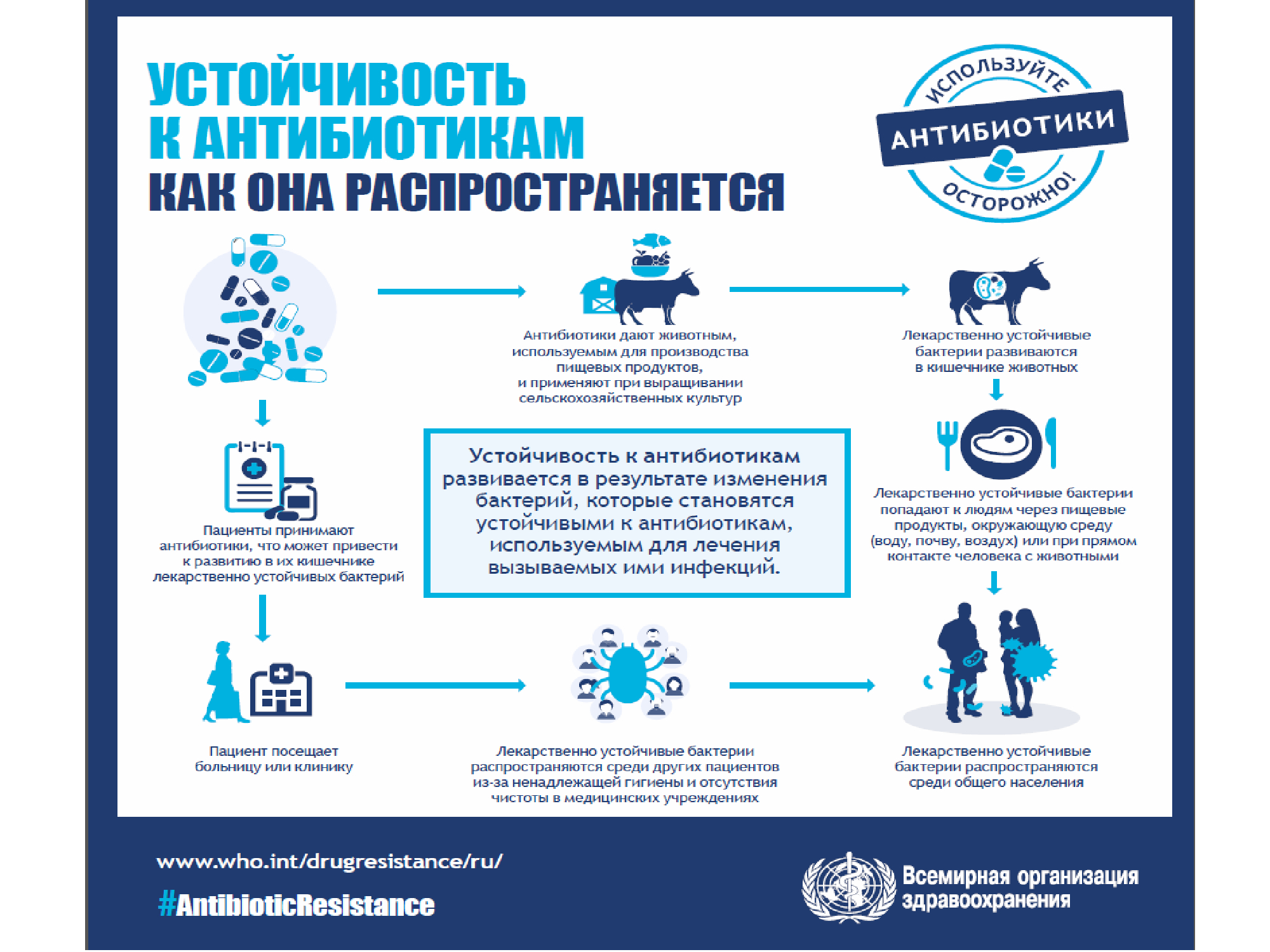 Инф_неделя_антибиотики-19