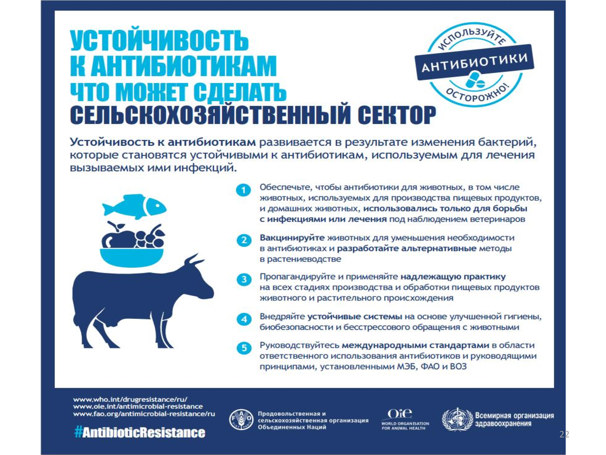 Инф_неделя_антибиотики-21